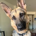 John Wickes - @johnwickes25 - Instagram
