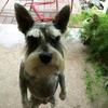 John Wickes - @johnwickes3363 - TikTok