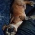 John Wickline - Facebook