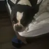 John Widner - @john.widner - TikTok