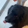 JohnWider_ - @johnwider_ - TikTok