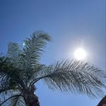 @john_widener_ - Instagram