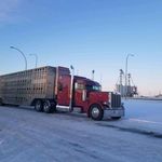 John Wiebe - @john.wiebe.313924 - Instagram