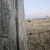 John Wiebe - @john.wiebe0 - TikTok