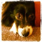 John Wiedemann - @johnwiedemann - Instagram