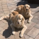 John Wiedemann - @wiedemann_john - Instagram