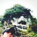 John Winters - Facebook