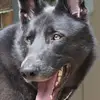 John Wilczewski299 - @johnwilczewski0070 - TikTok