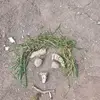 John Wild - @user098796804 - TikTok