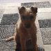 John Wilding - Facebook