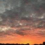 John Wiley - @johnwiley4206 - Instagram