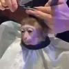 John Wilkinson2655 - @johnwilkinson26554 - TikTok