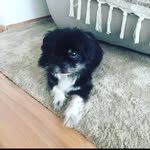 John Willard - @johnwillard378 - Instagram