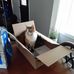 John Willard - Facebook