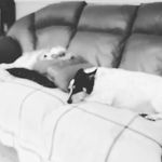 John Willcox - @willcoxj61 - Instagram
