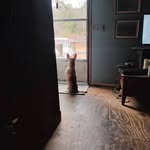 John Willenburg - @willenburgjohn - Instagram