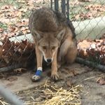 John Willer - @willer751 - Instagram