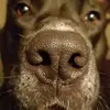 John Williamson - @johnwilliamson214 - TikTok