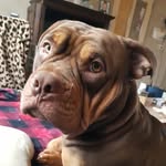 John Wilma Moerland - @johnmoerland - Instagram