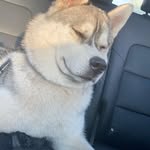 Jonathan Wilmes - @john_wilmes - Instagram