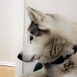 John Wimshurst - @wimshurstjohn - Instagram