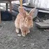 потпищица А4 - @johnwin15 - TikTok