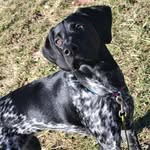 John Wineland - @john.h.wineland - Instagram