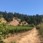 Father John Winery - @fatherjohnwinery - Instagram