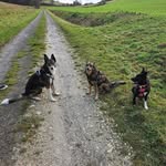Johannes Wingenbach - @johannes209 - Instagram