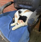 John Winn - Facebook