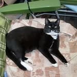 John Winn - @john.winn.501 - Instagram