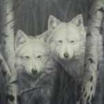 John Jared Witman - @johnwitman428 - Instagram