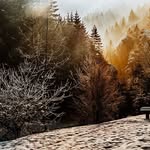 John Witman - @johnwitman967313 - Instagram