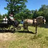 John Wittenkamp - @johnwittenkamp - TikTok