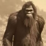 John Witzke - @witzke.john - Instagram