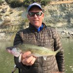 John Wold - @wold_cutting - Instagram