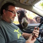 John wold - @john.wold1 - Instagram