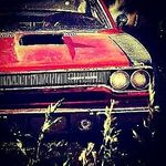 @john.__.wolf - Instagram