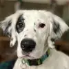 John Wolf - @john.wolf5 - TikTok