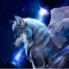 John Wolf - @walks.with.wings - TikTok