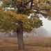 John Wolfenden Photography - Facebook