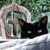 John Wolstenholme - Facebook