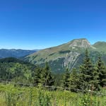 John Wooding - @johnwoosing - Instagram