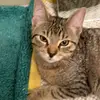 John Woodrow - @john.woodrow7 - TikTok