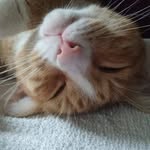 John Woolridge - @jawsome42078 - Instagram