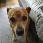 John Woolridge - @john.woolridge.73 - Instagram