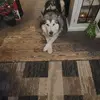 johnworkman81 - @johnworkman81 - TikTok
