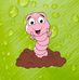 John El's Worm Works - Facebook