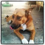 John Worthen - @newspaperboy2012 - Instagram