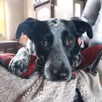 John Worthen - @john.worthen.395 - Instagram
